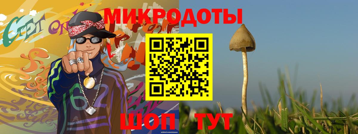 Галлюциногенные грибы Cubensis Чайковский